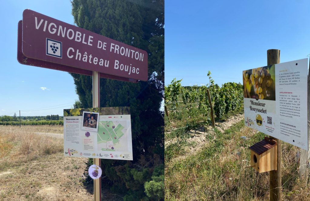 Balade dans tous les sens - Vignes Château Boujac
