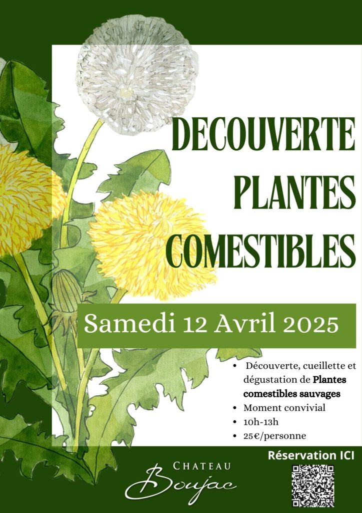 Découverte des plantes comestibles