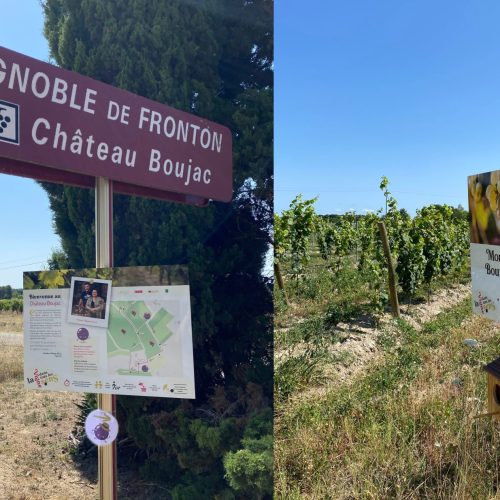 Balade dans tous les sens - Vignes Château Boujac